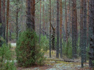 Would you find you way out from here?