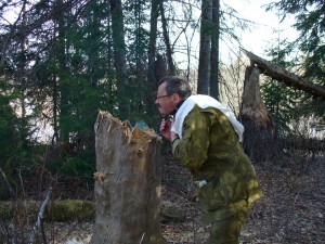 Скромный Быт на Природе Скромный Быт на Природе