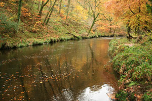 river Река