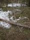 Разведение Костра для Приготовления Пищи